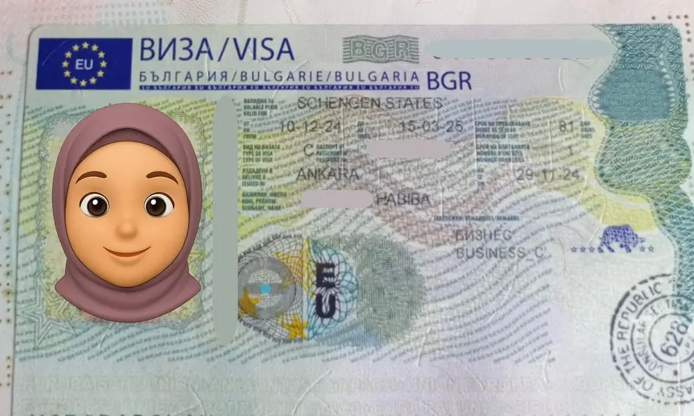 Visa Card 26
