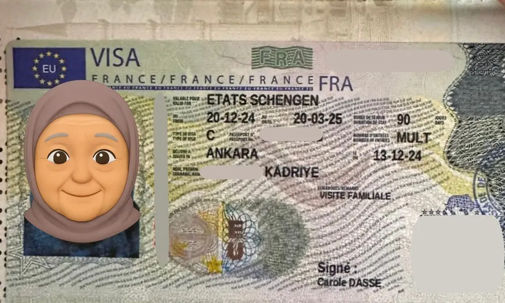 Visa Card 1