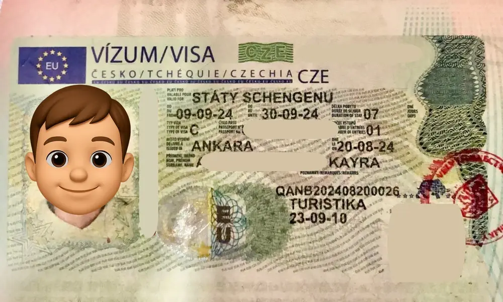 Visa Card 42