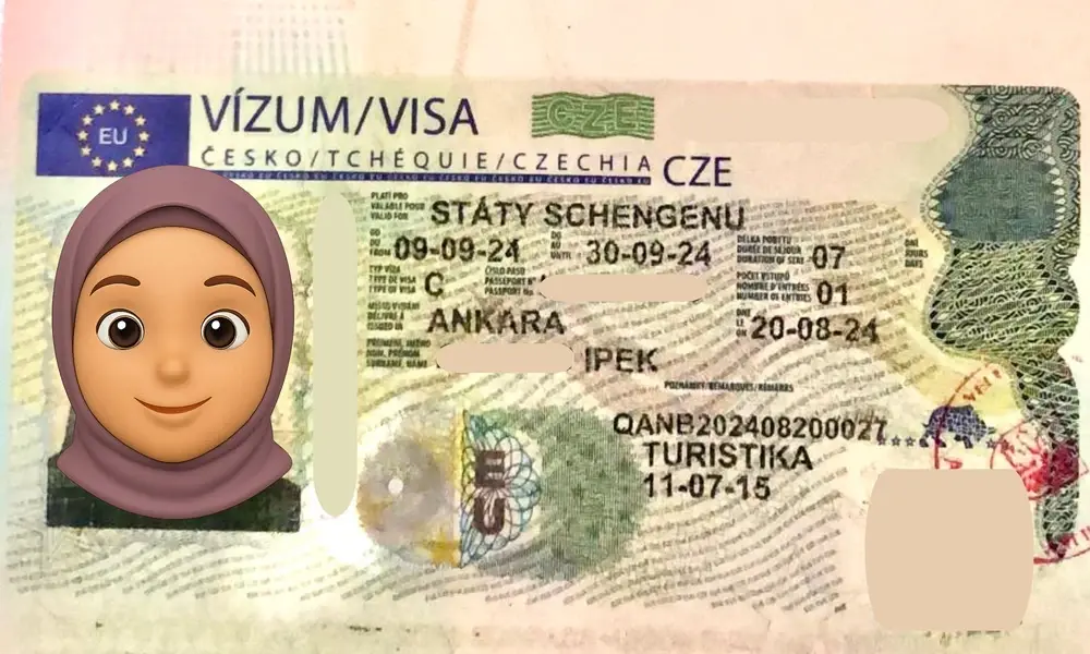 Visa Card 59