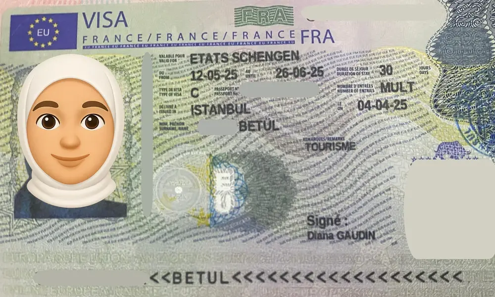 Visa Card 33