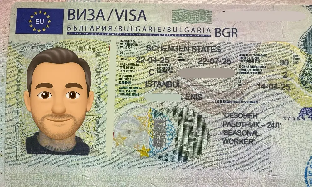 Visa Card 46