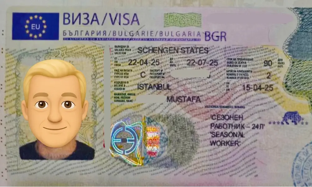 Visa Card 13