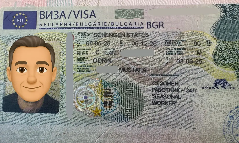 Visa Card 22