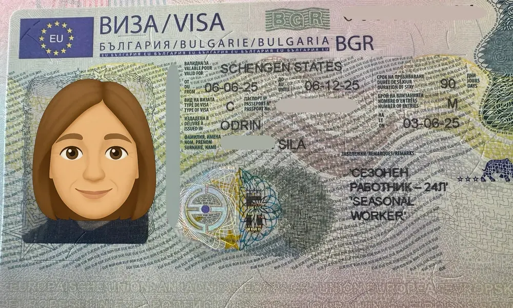 Visa Card 81