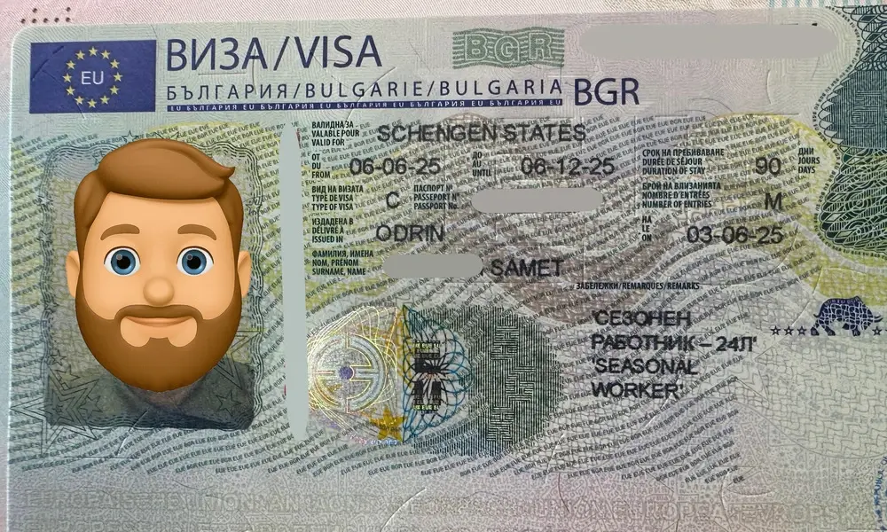 Visa Card 71