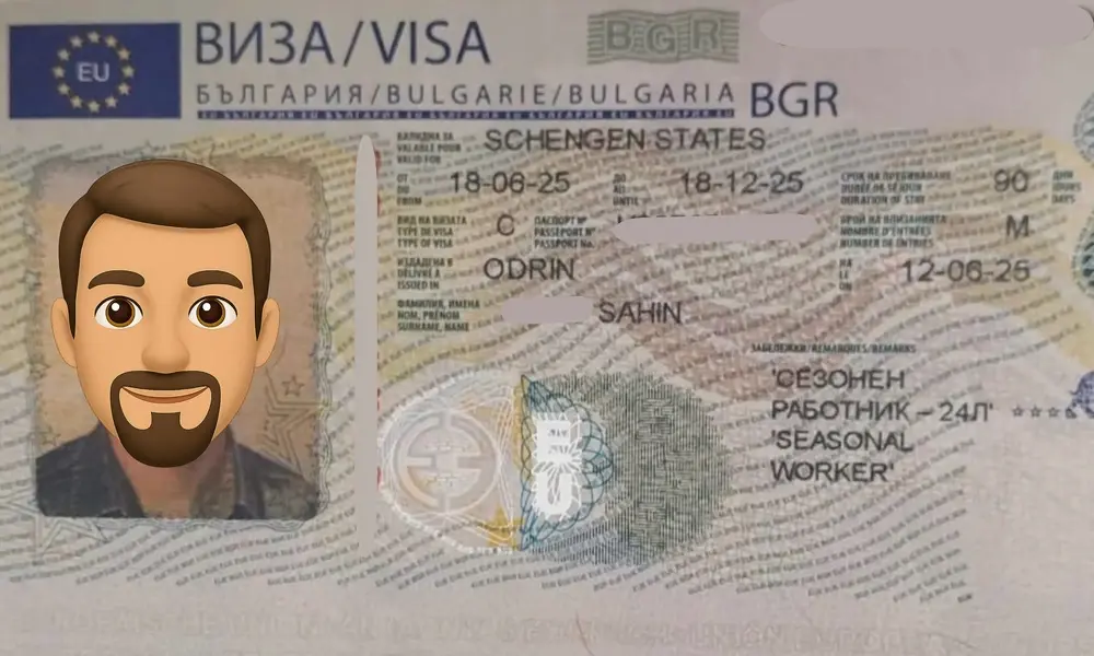 Visa Card 31
