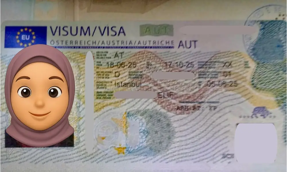 Visa Card 12