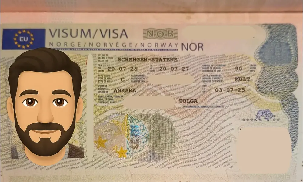 Visa Card 17