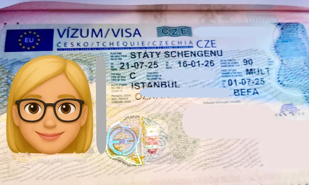 Visa Card 2
