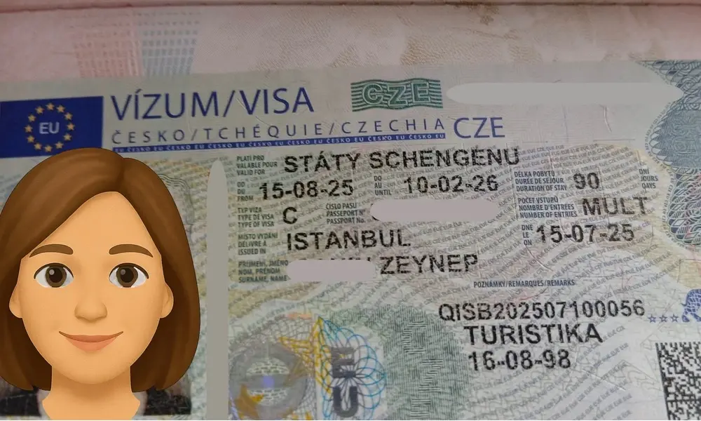 Visa Card 47