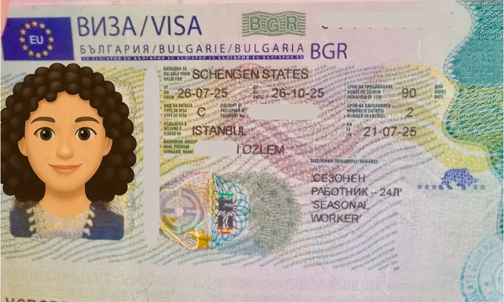 Visa Card 73